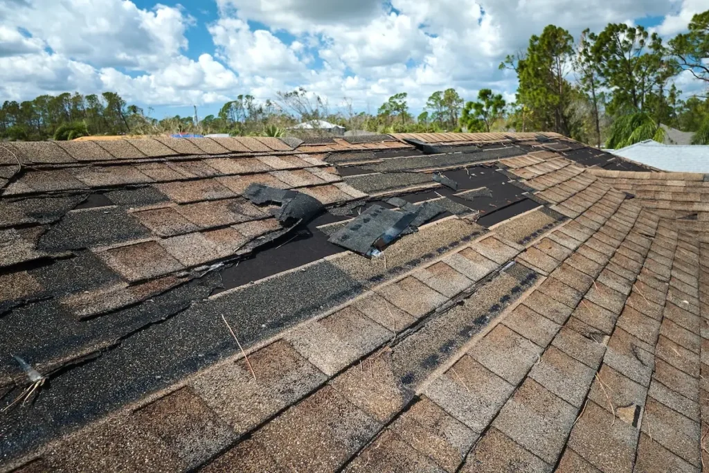 How do Roof Decking Moisture Damage Warning Signs Work Before Leaks Appear?
